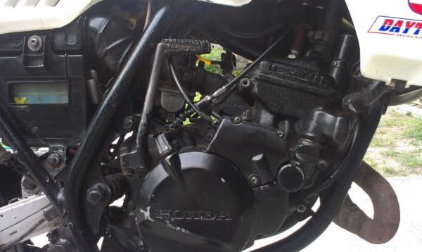 ขาย HONDA MTX125  สภาพเต็มๆ ล้างรถมาให้ดูกันชัดๆครับ