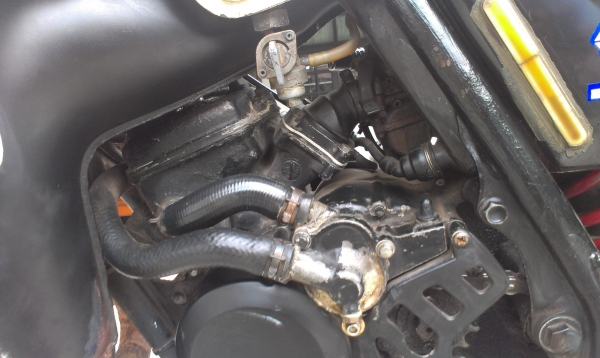 ขาย HONDA MTX125  สภาพเต็มๆ ล้างรถมาให้ดูกันชัดๆครับ