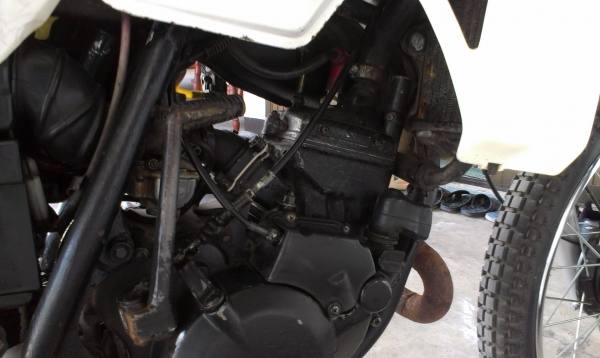 ขาย HONDA MTX125  สภาพเต็มๆ ล้างรถมาให้ดูกันชัดๆครับ