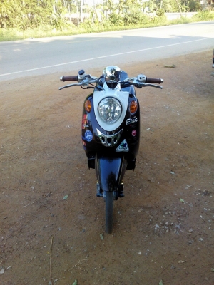 ฟีโนปี52 เครื่องดี โอนได้