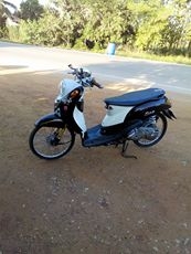 ฟีโนปี52 เครื่องดี โอนได้