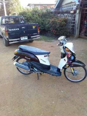 ฟีโนปี52 เครื่องดี โอนได้