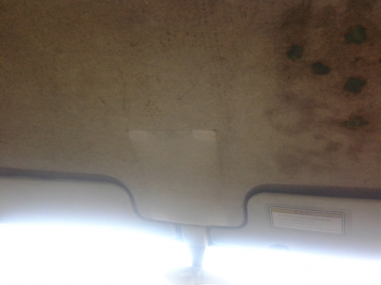 ปลดป้าย ทำสีสวยเลย