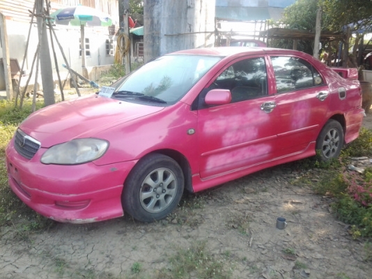 ปลดป้าย ทำสีสวยเลย