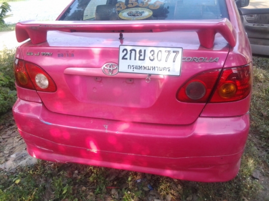 ปลดป้าย ทำสีสวยเลย