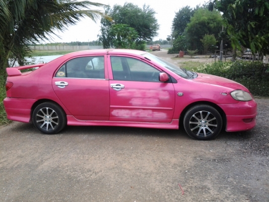 ปลดป้าย ทำสีสวยเลย