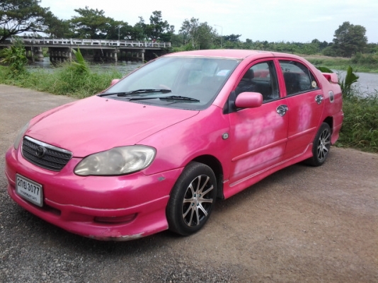 ปลดป้าย ทำสีสวยเลย