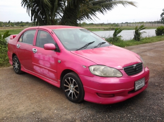 ปลดป้าย ทำสีสวยเลย