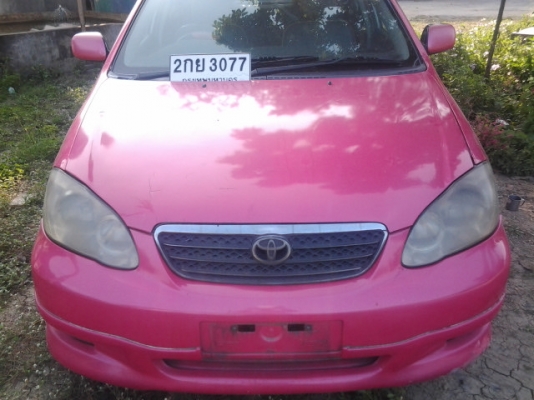 ปลดป้าย ทำสีสวยเลย