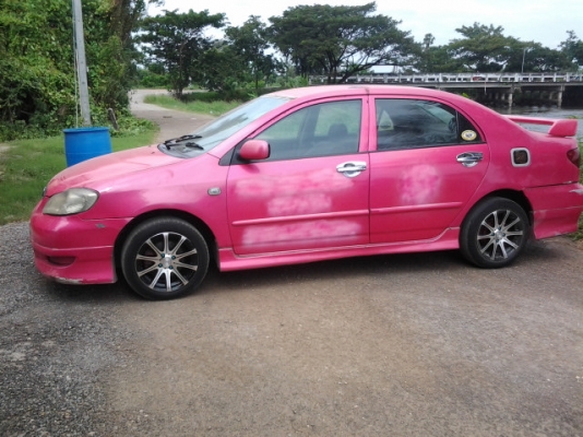 ปลดป้าย ทำสีสวยเลย