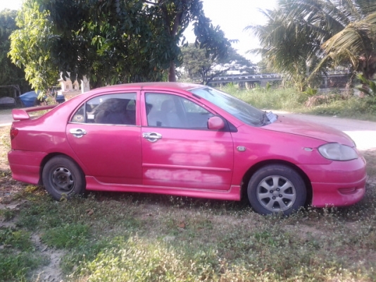 ปลดป้าย ทำสีสวยเลย