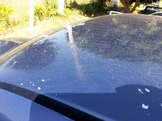 ***ขายแล้วครับขอบคุณ Truck2hand ขายกระบะแค็ปสภาพดี TOYOTA ไมตี้เอ็กซ์ ปี34/91 เครื่องดี แรงเกียร์ดีไม่หลุด ช่วงล่างแน่นคัสซีสวยเดิมไม่มีผุ กระบะดีไม่ผุ พื้นปูกระบะ ล้อแม็ก ยางดี4เส้น หัวเก๋งไม่ผุ ภายในคอนโซลครบ แอร์มีระบบต้องเช็ค พ.พาวเวอร์ ใช้งานปกติ เก็