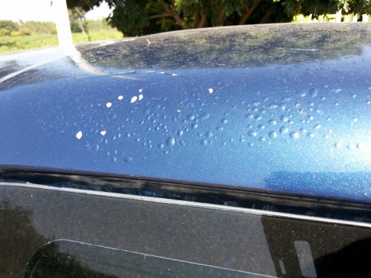 ***ขายแล้วครับขอบคุณ Truck2hand ขายกระบะแค็ปสภาพดี TOYOTA ไมตี้เอ็กซ์ ปี34/91 เครื่องดี แรงเกียร์ดีไม่หลุด ช่วงล่างแน่นคัสซีสวยเดิมไม่มีผุ กระบะดีไม่ผุ พื้นปูกระบะ ล้อแม็ก ยางดี4เส้น หัวเก๋งไม่ผุ ภายในคอนโซลครบ แอร์มีระบบต้องเช็ค พ.พาวเวอร์ ใช้งานปกติ เก็