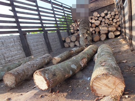 HINO JMC   ติดต่อปารวี  โทร 0839686255