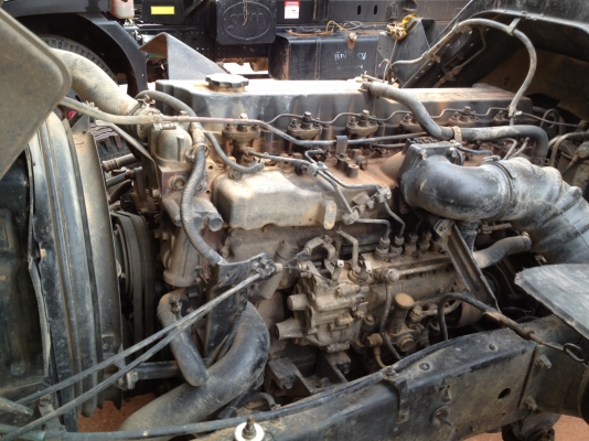 ขาย ร็อกกี้ตาหวาน FRR 195  สวยๆ พร้อมใช้  880000 บ.