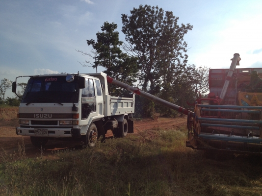 ขาย ร็อกกี้ตาหวาน FRR 195  สวยๆ พร้อมใช้  880000 บ.