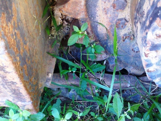 รถแบคโฮ KOBELCO SK300 M3 เอวแน่น ช่วงล่าง 95\% รถมีทะเบียน ราคาต่อรองได้