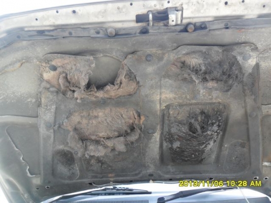 ขายมิตซูสตราด้าตอนเดียวปี01เครื่อง1J-vvtiหัวฉีดเกียร์ออโต้ติดแก๊สLPGเพาเวอร์แอร์เย็นตัวถังบางเดิมพร้อมใช้ครับ ขายมิตซูสตราด้าตอนเดียวปี01เครื่อง1J-vvtiหัวฉีดเกียร์ออโต้ติดแก๊สLPGเพาเวอร์แอร์เย็นตัวถังบางเดิมพร้อมใช้ครับ