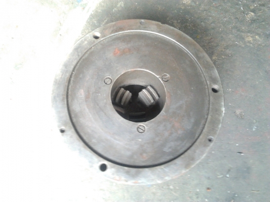 ขายสามจับ10''และ12''สี่จับตัวละ 3.000 บาท ขายสามจับ10''และ12''สี่จับตัวละ 3.000 บาท