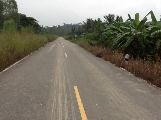 ขายที่ดิน