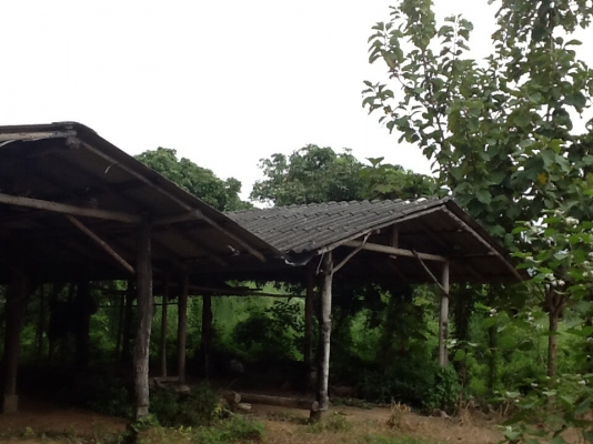 ขายที่ดิน ขายที่ดิน