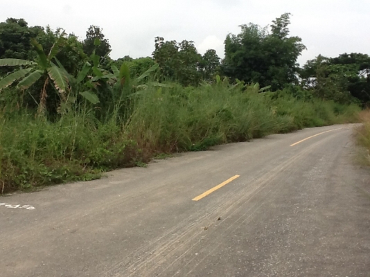 ขายที่ดิน ขายที่ดิน