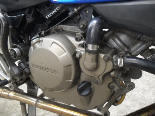 ขายโชนิค