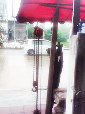 ขายมอเตอร์จี้ปูน ราคา 2000 บาท เสียบปลั๊กใช้ได้เลย ขายมอเตอร์จี้ปูน ราคา 2000 บาท เสียบปลั๊กใช้ได้เลย