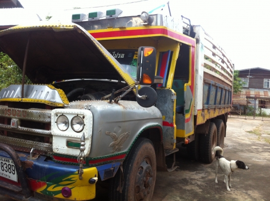 ยกเลิการขายชั่วคราว