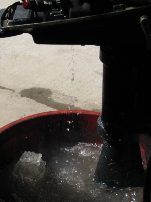 เครื่องเก่า 9 แรง ทองขาว หางสั้น เครื่องเก่า 9 แรง ทองขาว หางสั้น