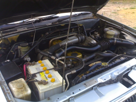 ขาย ISUZU DRAGON EYE SLX2500 โบว์ ปี2000 พ่อค้าตัดได้230000คับ ขาย ISUZU DRAGON EYE SLX2500 โบว์ ปี2000 พ่อค้าตัดได้230000คับ