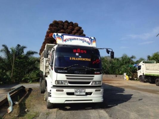 รถอีซูซุ 10 ล้อดั้ม FXZ 270 แรงม้า  (  ขาย แม่ , ลูก )  สนใจติดต่อ 081 - 6079515