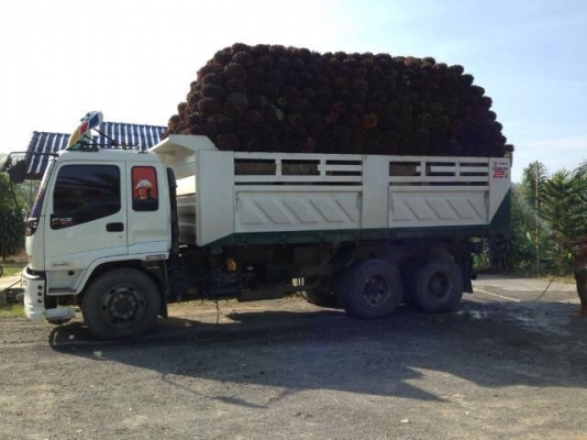 รถอีซูซุ 10 ล้อดั้ม FXZ 270 แรงม้า ( ขาย แม่ , ลูก ) สนใจติดต่อ 081 - 6079515 รถอีซูซุ 10 ล้อดั้ม FXZ 270 แรงม้า ( ขาย แม่ , ลูก ) สนใจติดต่อ 081 - 6079515