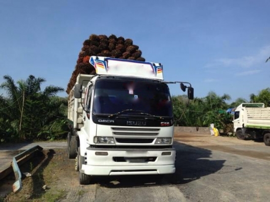 รถอีซูซุ 10 ล้อดั้ม FXZ 270 แรงม้า ( ขาย แม่ , ลูก ) สนใจติดต่อ 081 - 6079515 รถอีซูซุ 10 ล้อดั้ม FXZ 270 แรงม้า ( ขาย แม่ , ลูก ) สนใจติดต่อ 081 - 6079515