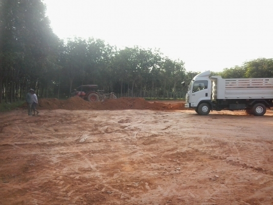 Up date 11/12/13 เนื่องจากฝนตกยังไม่เริ่มแปลงที่สองนะครับ... ต้องการรถหกล้อร่วมวิ่งดินใน อ.ร่อนพิบูลย์ จ.นครศรีฯ(รถดั๊มรั้วสูงเท่านั้น)