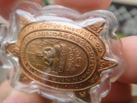 เต่าปู่หลิว ปลดหนี้ 40 ส่งนนทบุรีครับ เต่าปู่หลิว ปลดหนี้ 40 ส่งนนทบุรีครับ