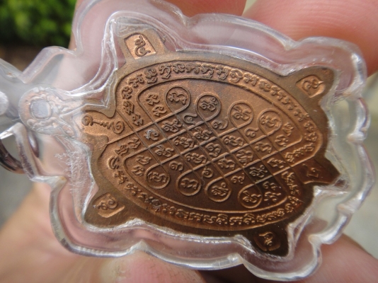 เต่าปู่หลิว ปลดหนี้ 40 ส่งนนทบุรีครับ เต่าปู่หลิว ปลดหนี้ 40 ส่งนนทบุรีครับ