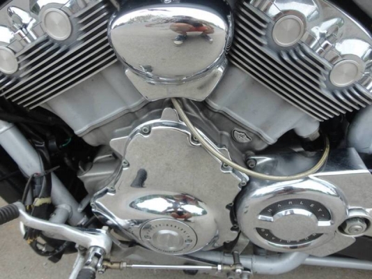 ขายฮาร์เลย์ เดวิสสัน 100 ปี ขายฮาร์เลย์ เดวิสสัน 100 ปี