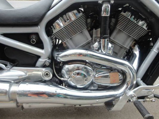 ขายฮาร์เลย์ เดวิสสัน 100 ปี ขายฮาร์เลย์ เดวิสสัน 100 ปี