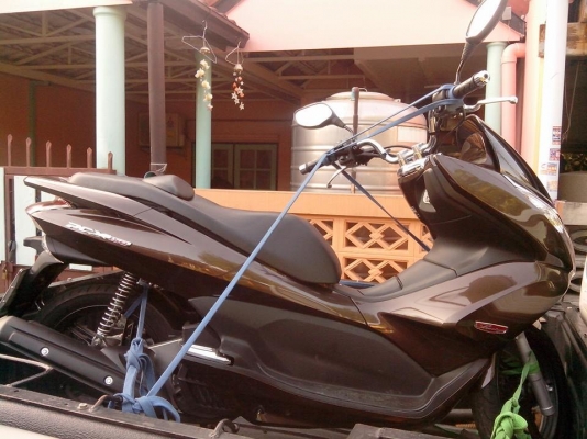 ขาย HONDA PCX 150 ปี 56 รถวิ่งไป 213 กิโลเมตร ขาย HONDA PCX 150 ปี 56 รถวิ่งไป 213 กิโลเมตร