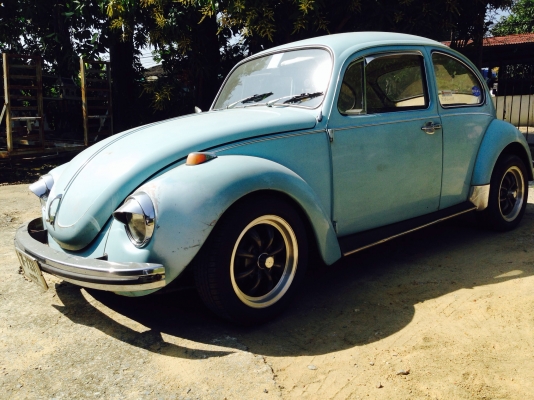 ขายเต่าปี71 หน้าโหนก สีเดิมโรงงาน แห้งๆ บางๆ