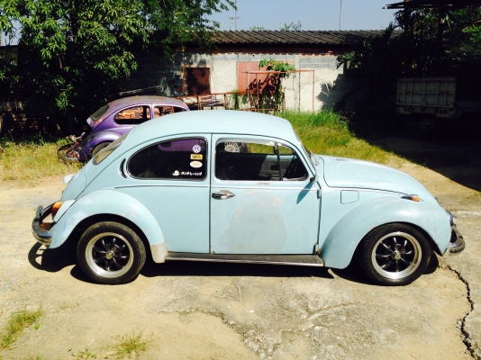 ขายเต่าปี71 หน้าโหนก สีเดิมโรงงาน แห้งๆ บางๆ