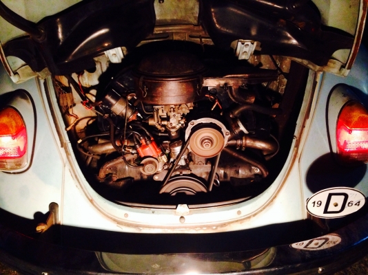 ขายเต่าปี71 หน้าโหนก สีเดิมโรงงาน แห้งๆ บางๆ