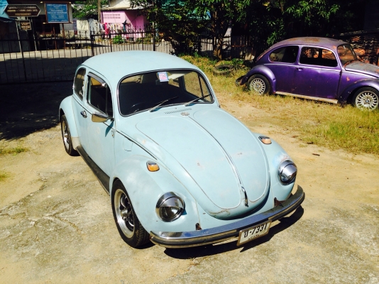 ขายเต่าปี71 หน้าโหนก สีเดิมโรงงาน แห้งๆ บางๆ