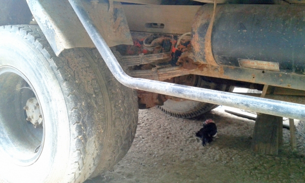 รถหกล้อบ้าน รถหกล้อบ้าน