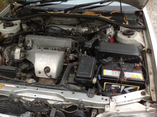 ด่วนเลย  ลดเหลือ 105000ขาย ท้ายโด่งไฟแถบ ปี36