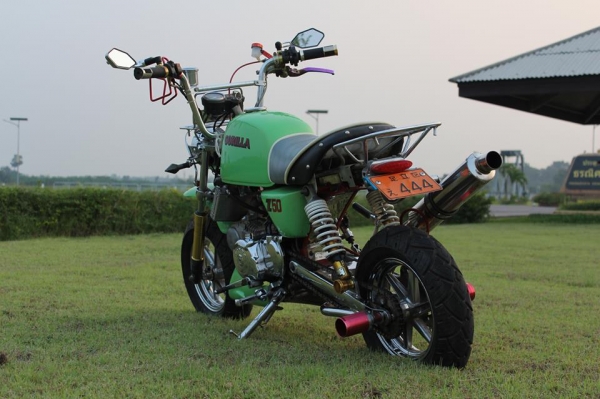 ----ด่วน กอลิล่า สวย---