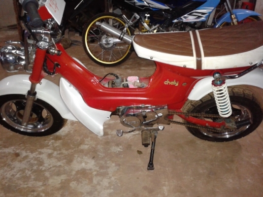 ชาลีแต่งสวย