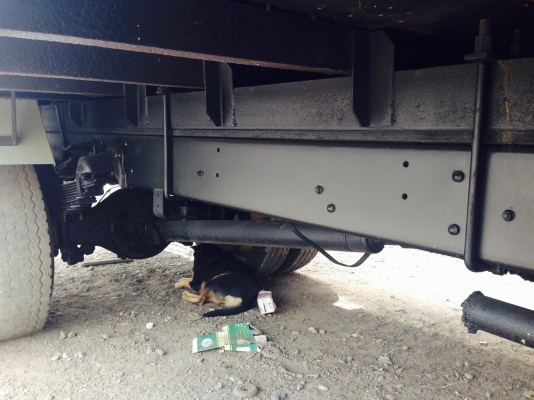 รถHino779ติดเครนShinmeiwa2.9ตันยาว5.5เมตร รถHino779ติดเครนShinmeiwa2.9ตันยาว5.5เมตร