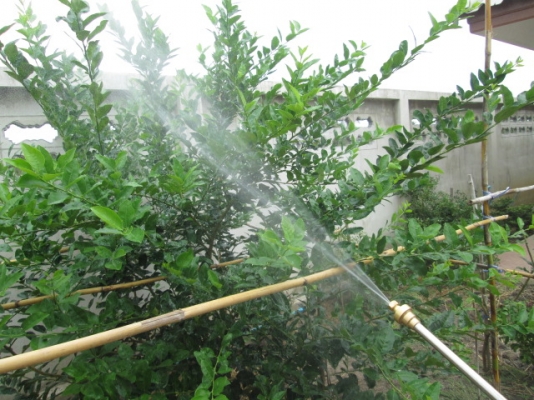 เครื่องพ่นยาสะพายบ่า KIORITZ SHPE701